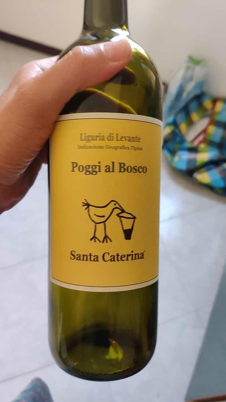 Vigna Chiusa - Santa Caterina - Andrea Kihlgren 