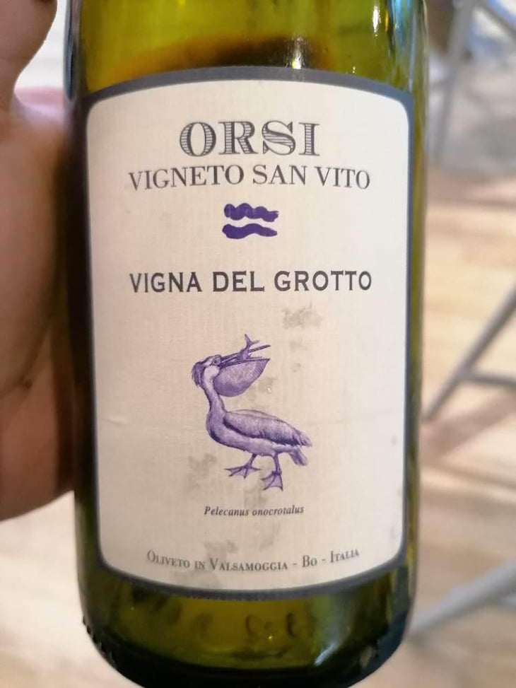 Vigna Del Grotto - Orsi Vigneto San Vito - Federico Orsi 