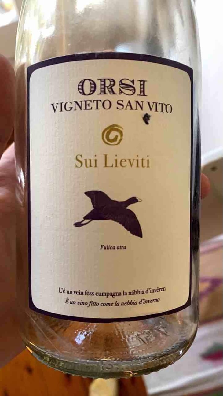 Vigna Del Grotto - Orsi Vigneto San Vito - Federico Orsi 
