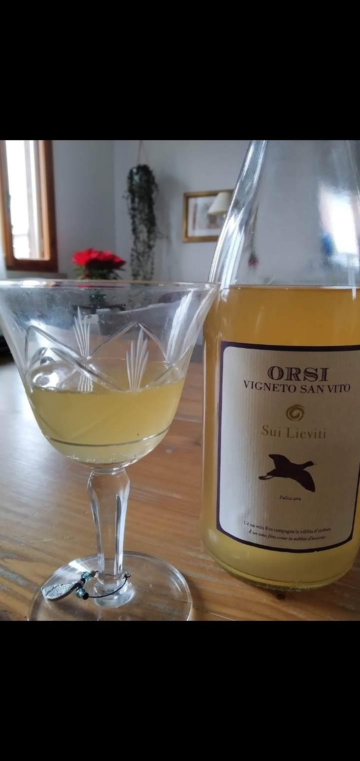 Vigna Del Grotto - Orsi Vigneto San Vito - Federico Orsi 