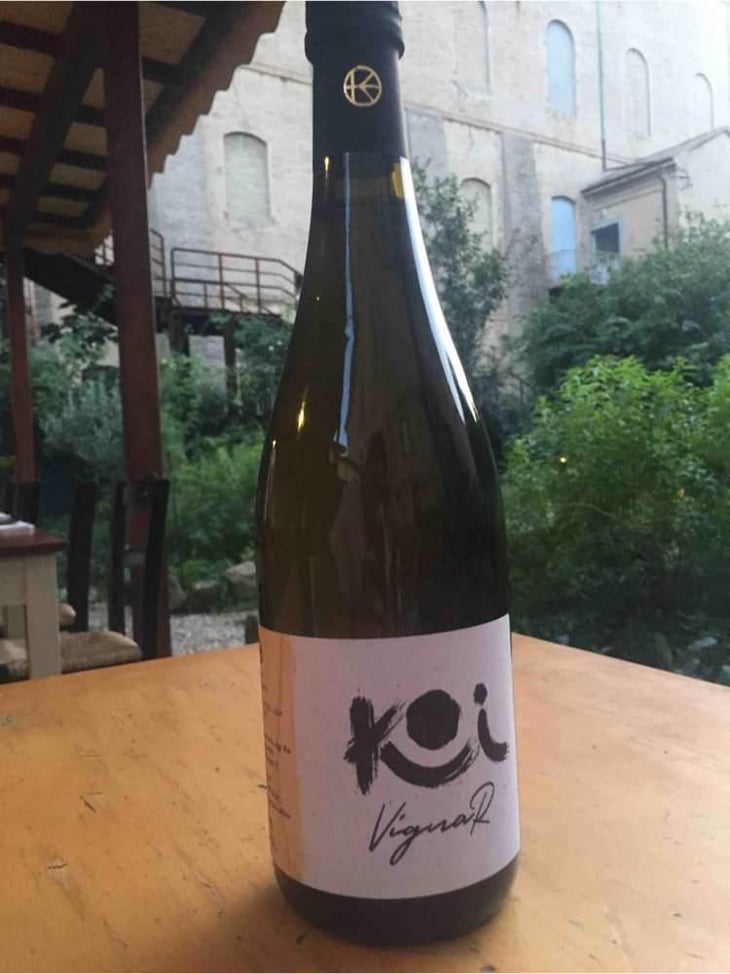 Vigna R - Azienda Agricola Koi - Flavio Restani 
