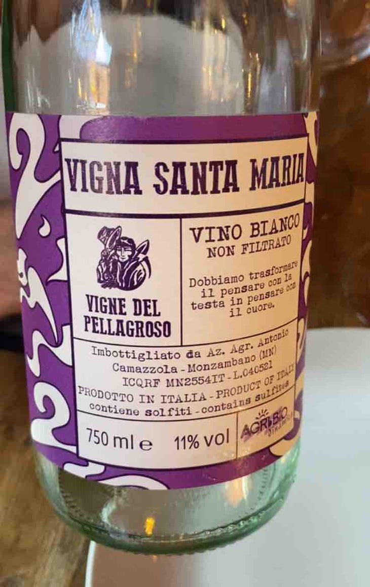 Vigna Santa Maria - Vigne Del Pellagroso - Antonio Camazzola -2020