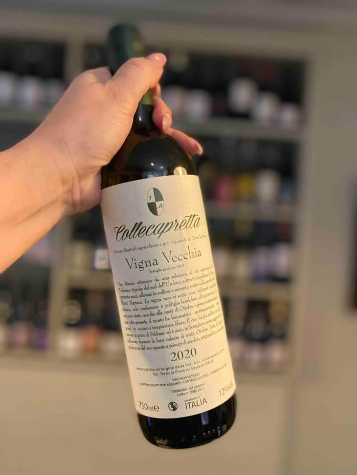 Vigna Vecchia - Collecapretta - Anna & Vittorio Mattioli 