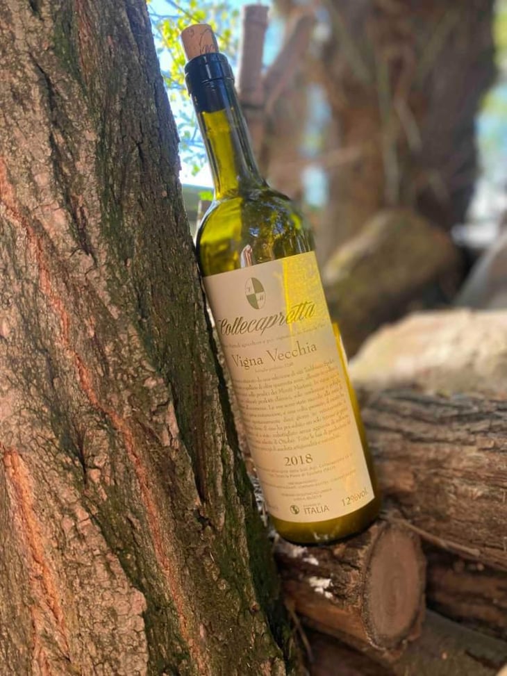 Vigna Vecchia - Collecapretta - Anna & Vittorio Mattioli 