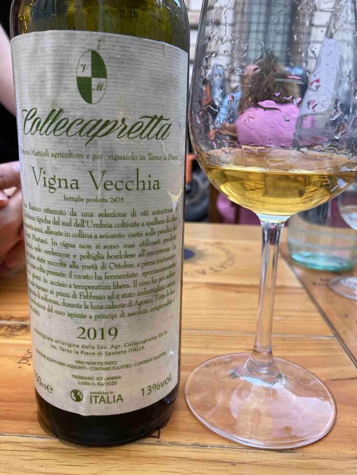 Vigna Vecchia - Collecapretta - Anna & Vittorio Mattioli 