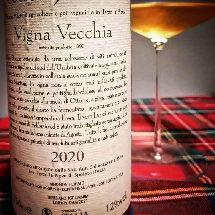 Vigna Vecchia - Collecapretta - Anna & Vittorio Mattioli 
