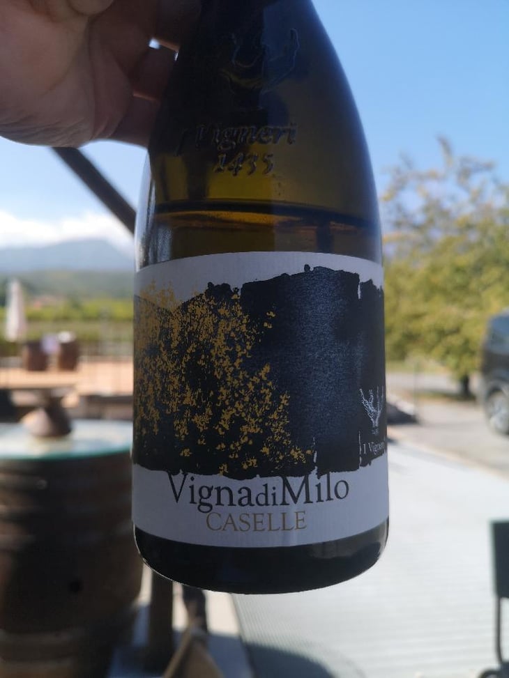 VignadiMilo - I Vigneri - Salvo Foti 