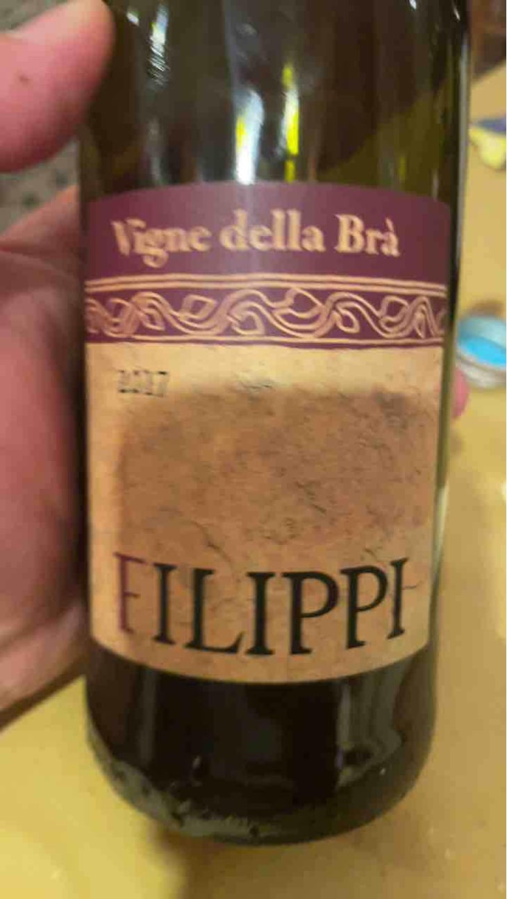 Vigne Delle Bra - Visco & Filippi Azienda Agricola - Filippo Filippi 