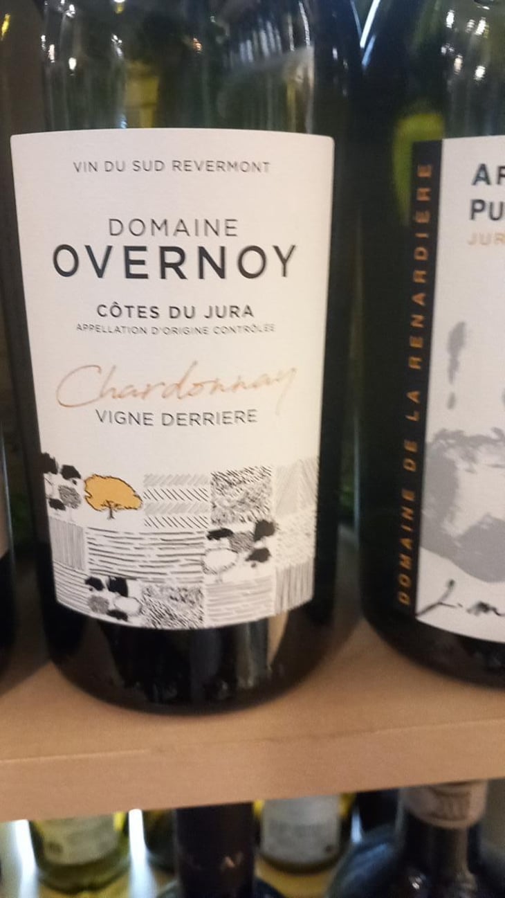 Vigne Derrière - Domaine Overnoy - Guillaume Overnoy 