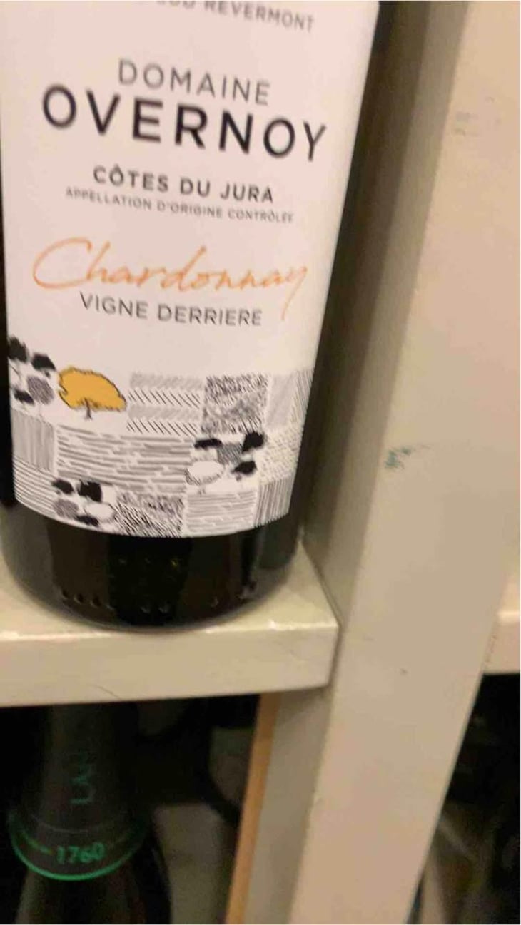 Vigne Derrière - Domaine Overnoy - Guillaume Overnoy 