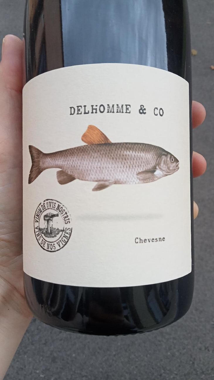 Vignes de la Justice - Delhomme & co - Baptiste Delhomme -2022
