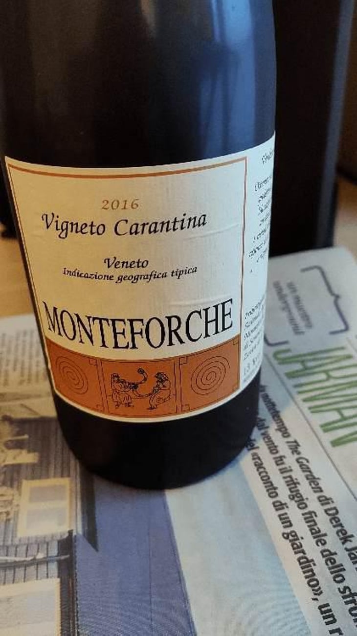 Vigneto Carantina - Azienda Agricola Monteforche - Alfonso Soranzo -2019