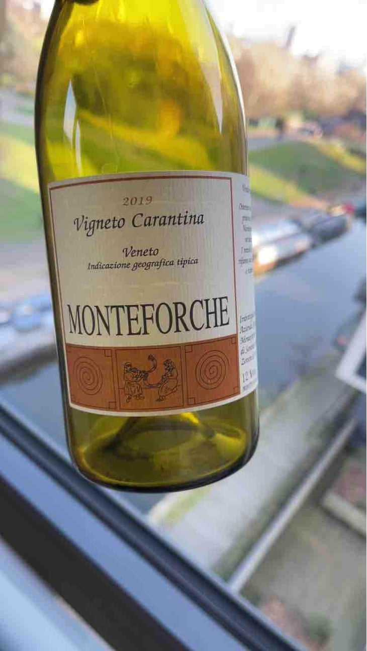Vigneto Carantina - Azienda Agricola Monteforche - Alfonso Soranzo -2019
