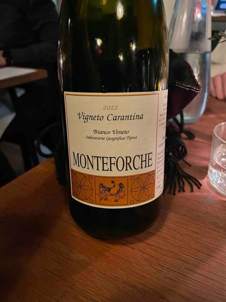 Vigneto Carantina - Azienda Agricola Monteforche - Alfonso Soranzo -2019