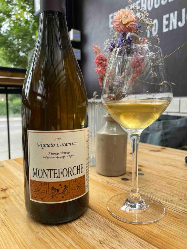 Vigneto Carantina - Azienda Agricola Monteforche - Alfonso Soranzo -2019