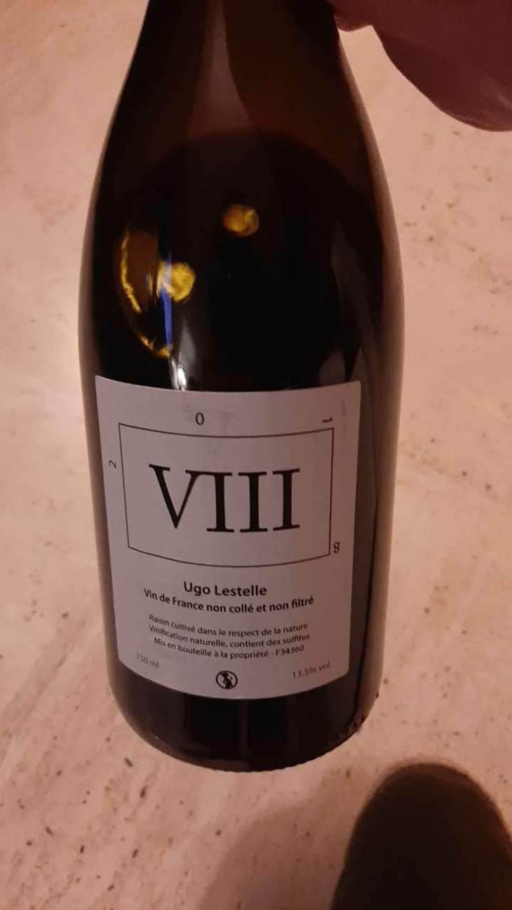 VIII - Ugo Lestelle - Ugo Lestelle 