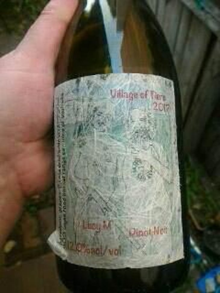 Village of Tiers - Lucy Margaux Vineyards - Anton Van Klopper 