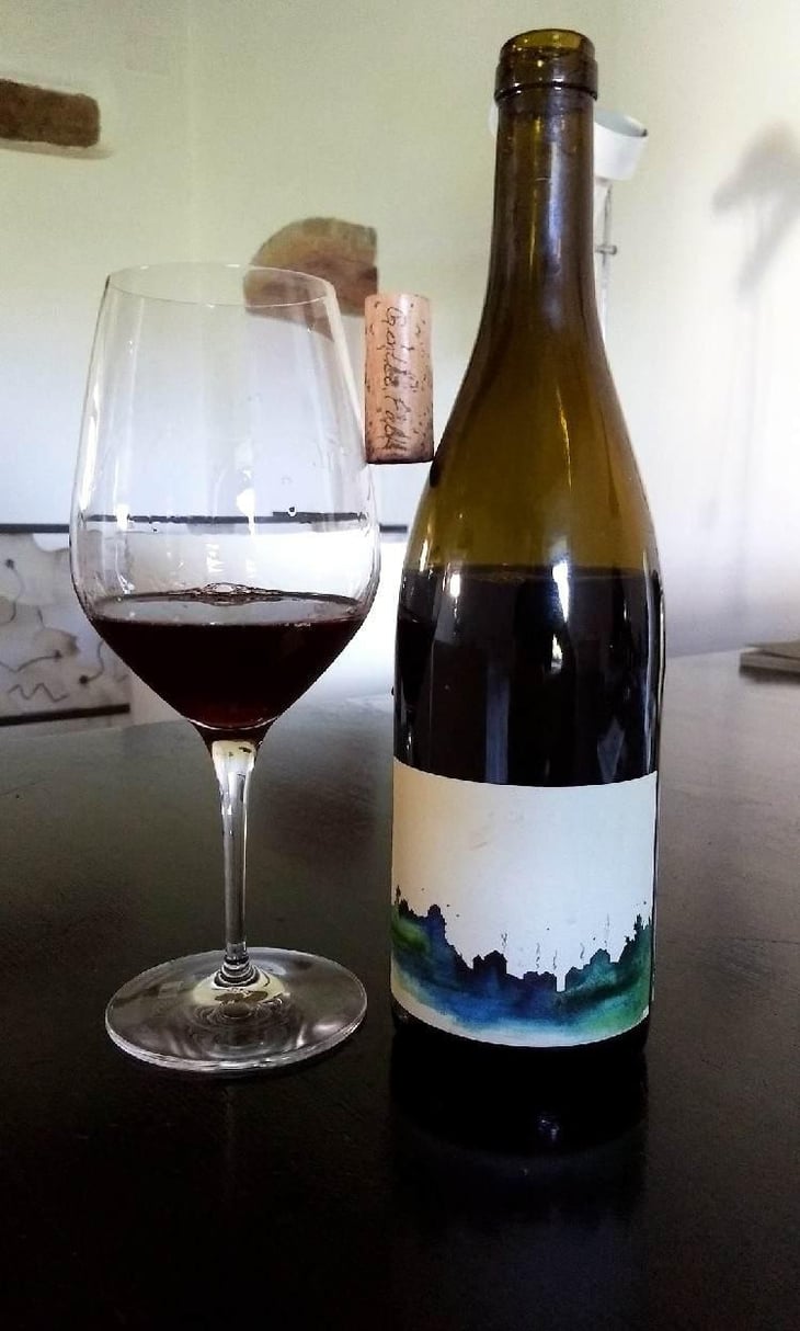 Village Pinot Noir - Gentle Folk Wines - Gareth & Rainbo Belton 