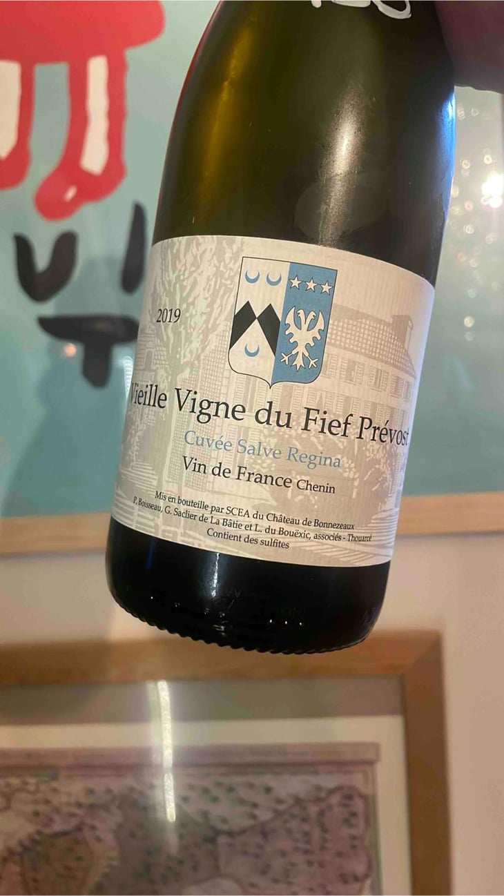 Villes Vignes Du fief Prévost - Château De Bonnezeaux - Louis du Bouëxic de Pinieux & Pierre Boisseau -2019