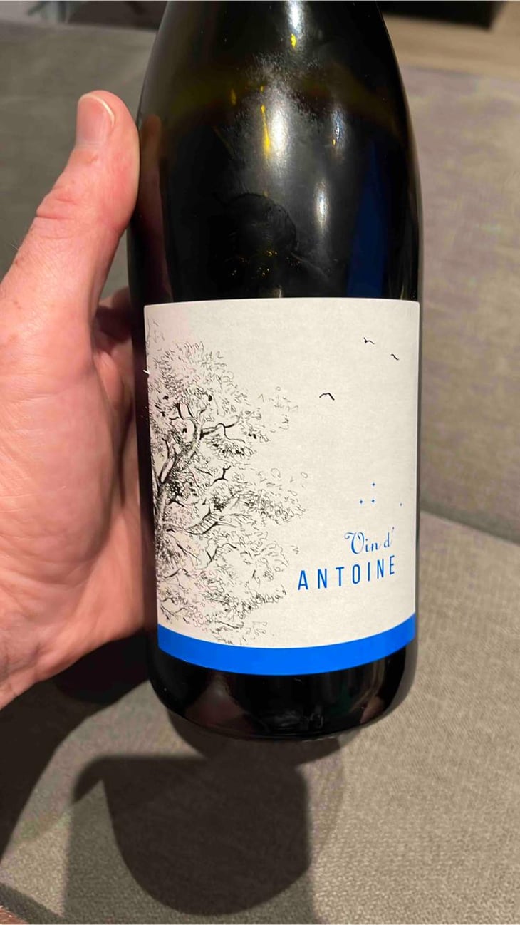 Le Vin d’Antoine - Domaine Saint Nicolas - Mickaël, Antoine & Thierry Michon 