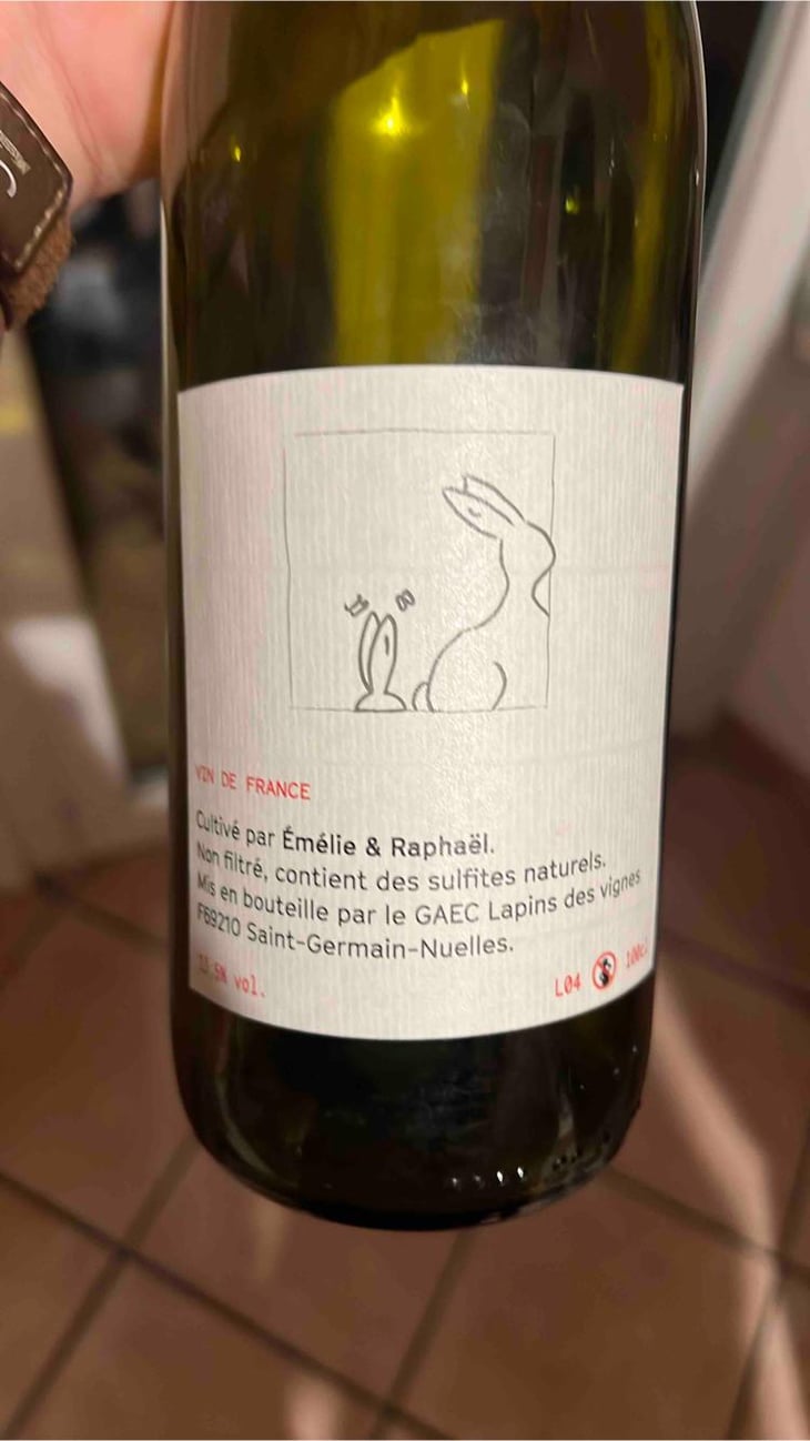 Enculés Lapins - Lapins Des Vignes - Raphaël Beysang & Emélie Hurtubise -2021