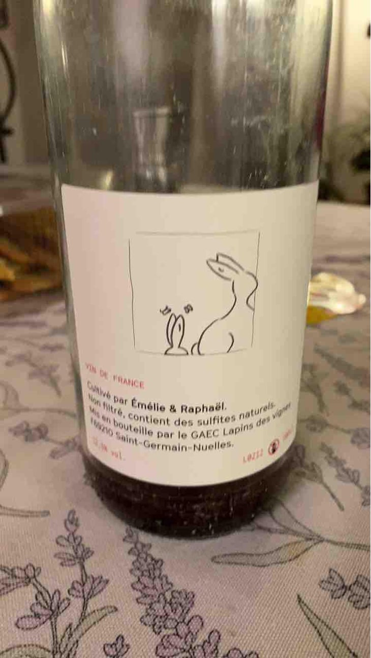 Enculés Lapins - Lapins Des Vignes - Raphaël Beysang & Emélie Hurtubise -2021