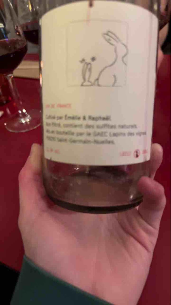 Enculés Lapins - Lapins Des Vignes - Raphaël Beysang & Emélie Hurtubise -2021