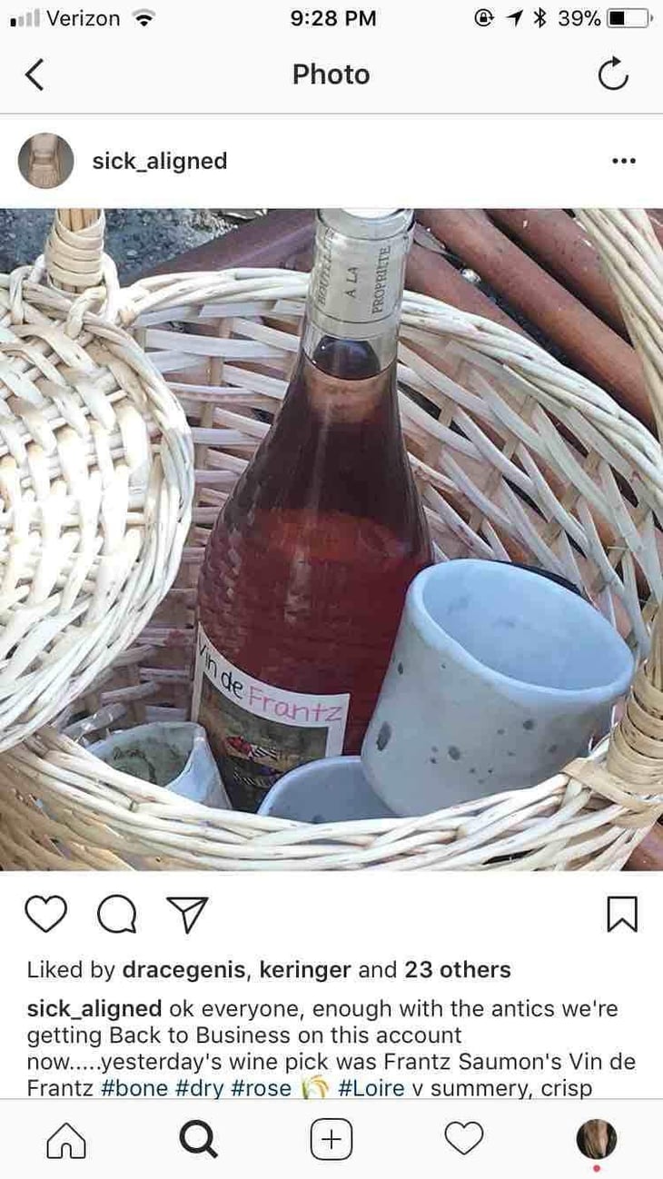 Vin de Frantz Rosé - Un Saumon Dans la Loire - Marie Thibault & Frantz Saumon 