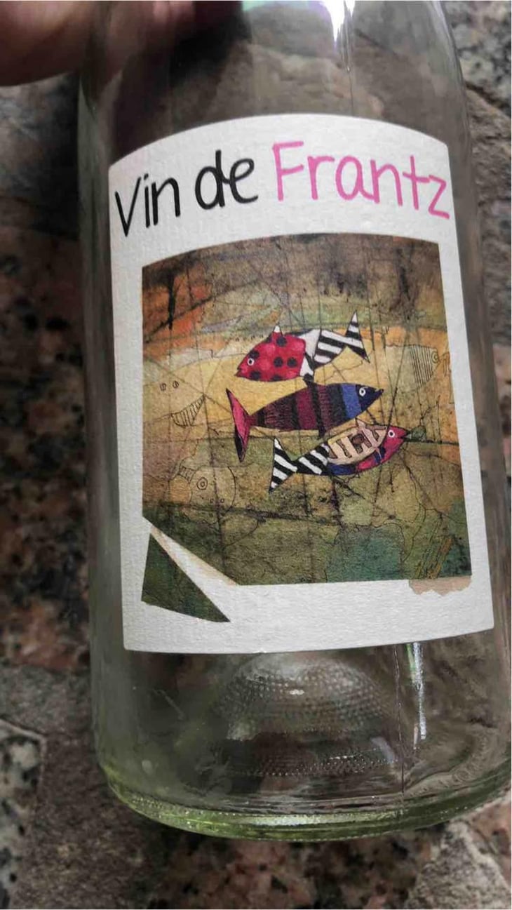Vin de Frantz Rosé - Un Saumon Dans la Loire - Marie Thibault & Frantz Saumon 