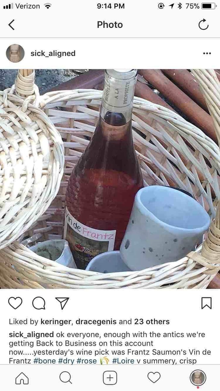 Vin de Frantz Rosé - Un Saumon Dans la Loire - Marie Thibault & Frantz Saumon 