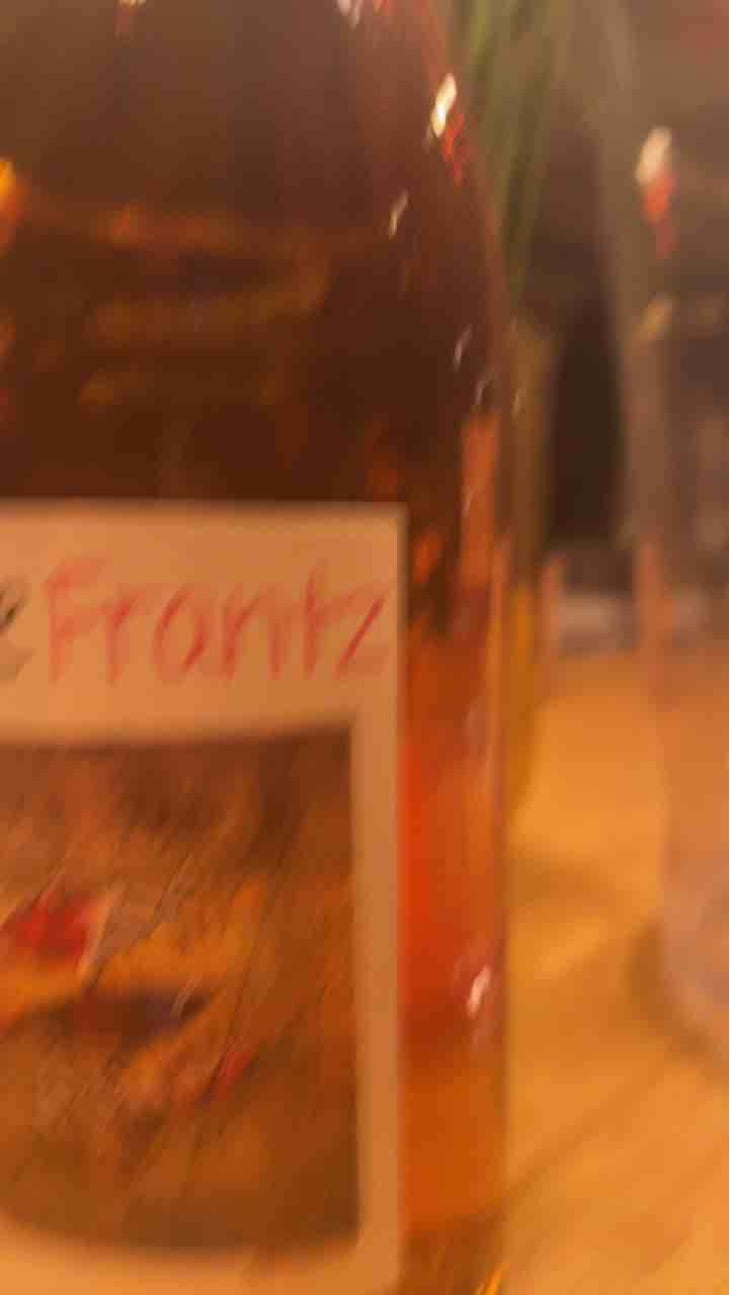 Vin de Frantz Rosé - Un Saumon Dans la Loire - Marie Thibault & Frantz Saumon 
