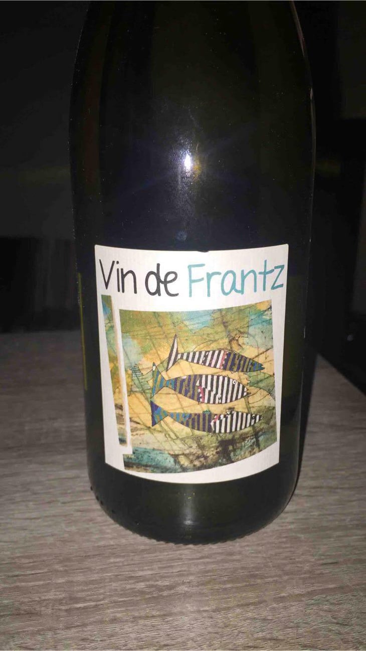 Vin de Frantz - Un Saumon Dans la Loire - Marie Thibault & Frantz Saumon 