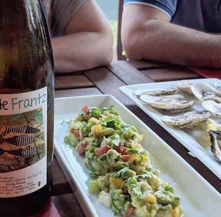 Vin de Frantz - Un Saumon Dans la Loire - Marie Thibault & Frantz Saumon 