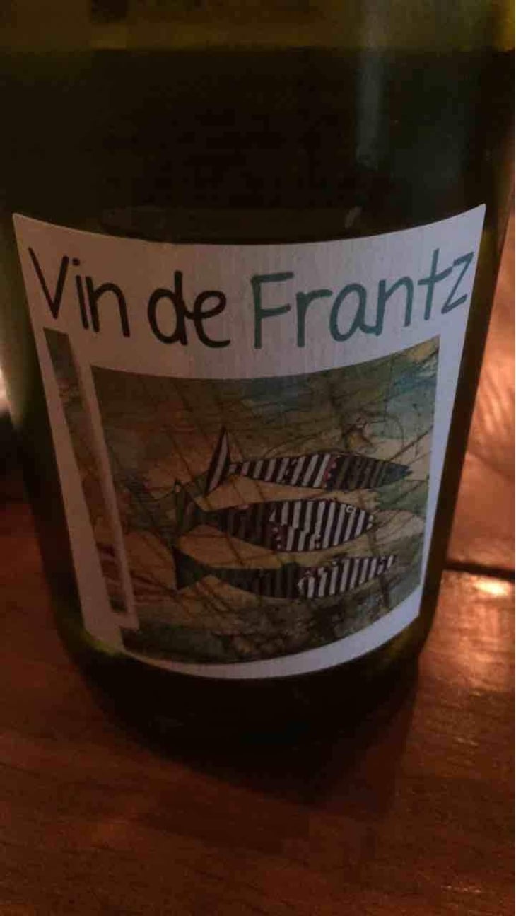 Vin de Frantz - Un Saumon Dans la Loire - Marie Thibault & Frantz Saumon 