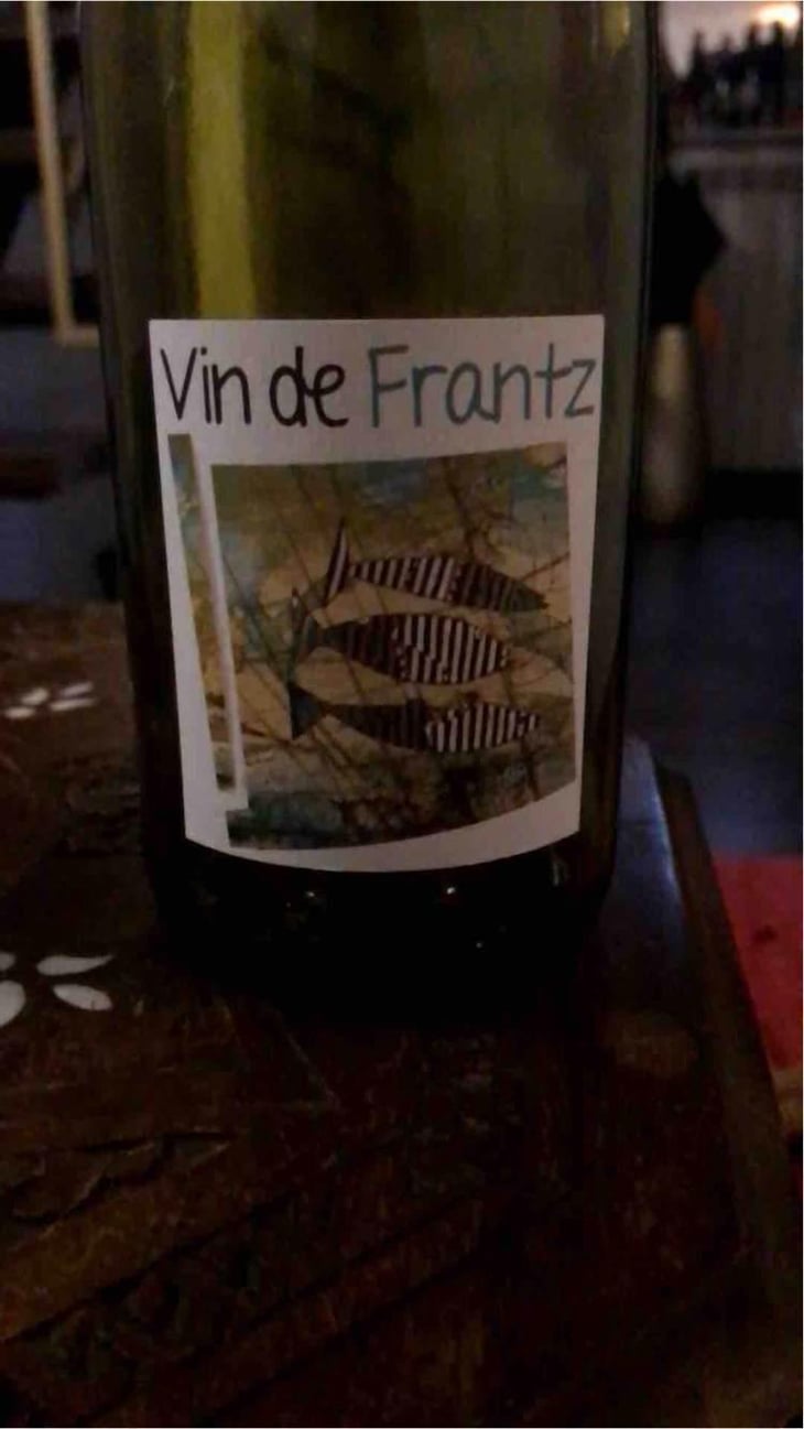 Vin de Frantz - Un Saumon Dans la Loire - Marie Thibault & Frantz Saumon 