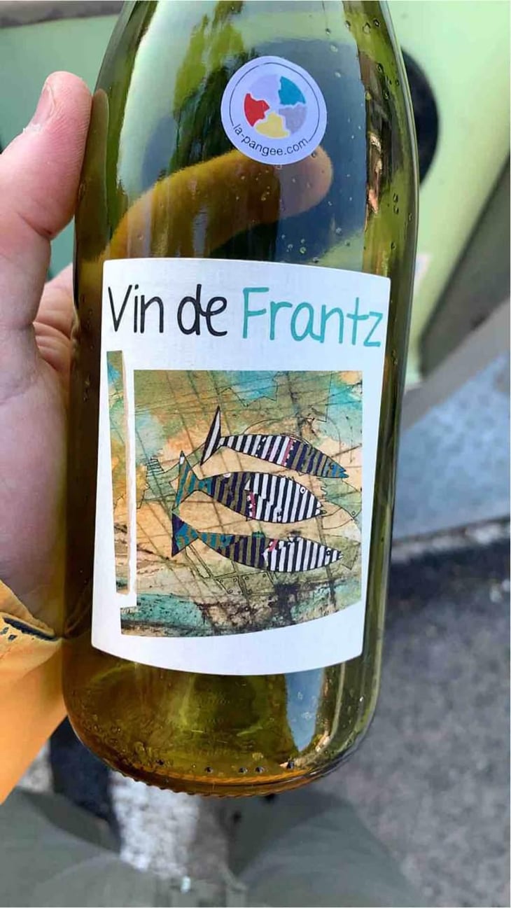 Vin de Frantz - Un Saumon Dans la Loire - Marie Thibault & Frantz Saumon 