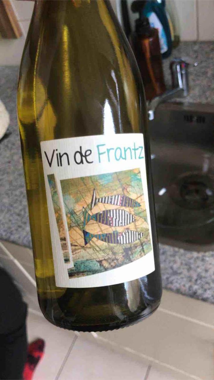 Vin de Frantz - Un Saumon Dans la Loire - Marie Thibault & Frantz Saumon 