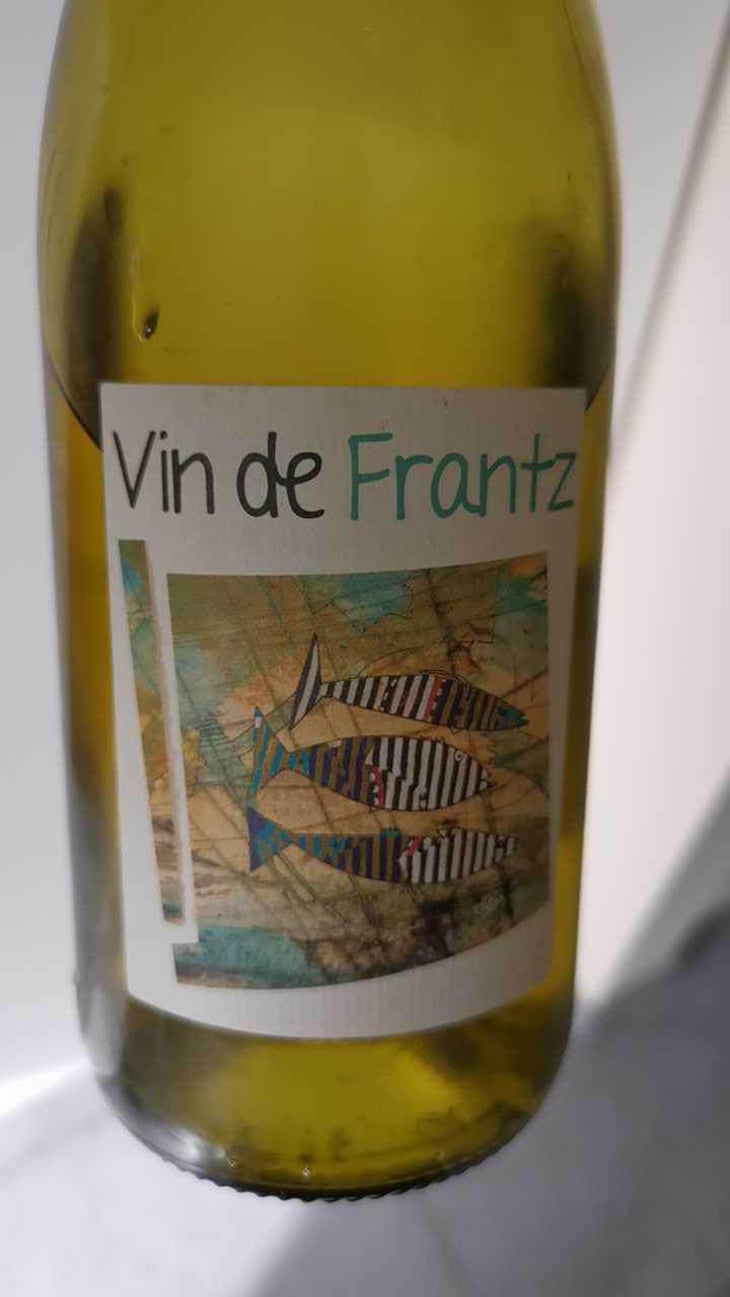 Vin de Frantz - Un Saumon Dans la Loire - Marie Thibault & Frantz Saumon 