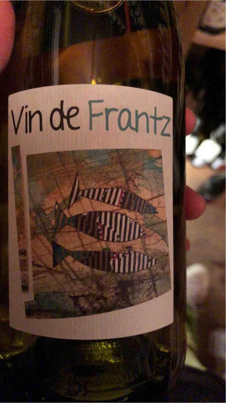 Vin de Frantz - Un Saumon Dans la Loire - Marie Thibault & Frantz Saumon 