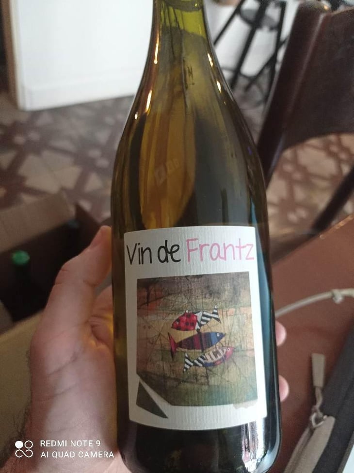 Vin de Frantz - Un Saumon Dans la Loire - Marie Thibault & Frantz Saumon 