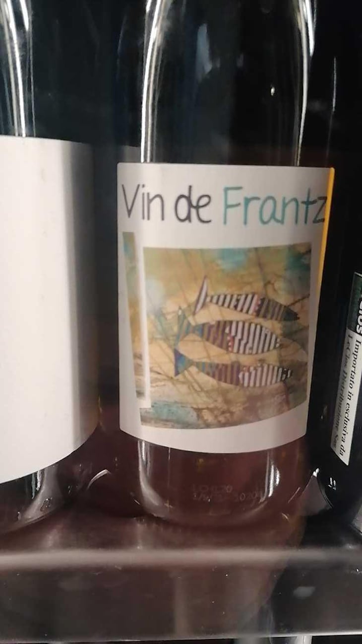 Vin de Frantz - Un Saumon Dans la Loire - Marie Thibault & Frantz Saumon 