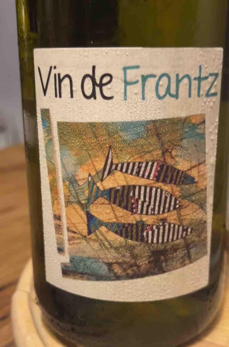 Vin de Frantz - Un Saumon Dans la Loire - Marie Thibault & Frantz Saumon 
