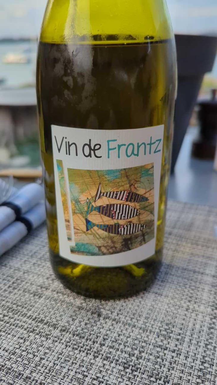 Vin de Frantz - Un Saumon Dans la Loire - Marie Thibault & Frantz Saumon 