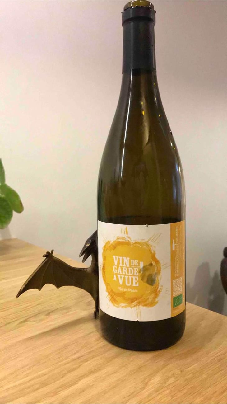 Vin De Garde A Vue - Thibault Stephan - Thibault Stephan 