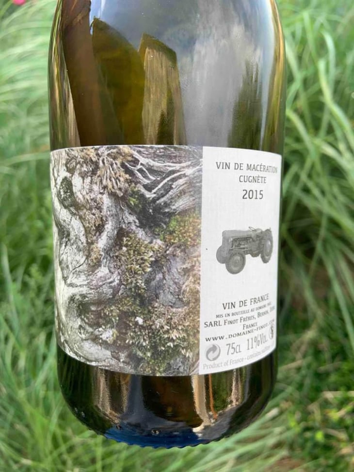Vin de Macération Cugnette - Domaine Finot - Thomas Finot 