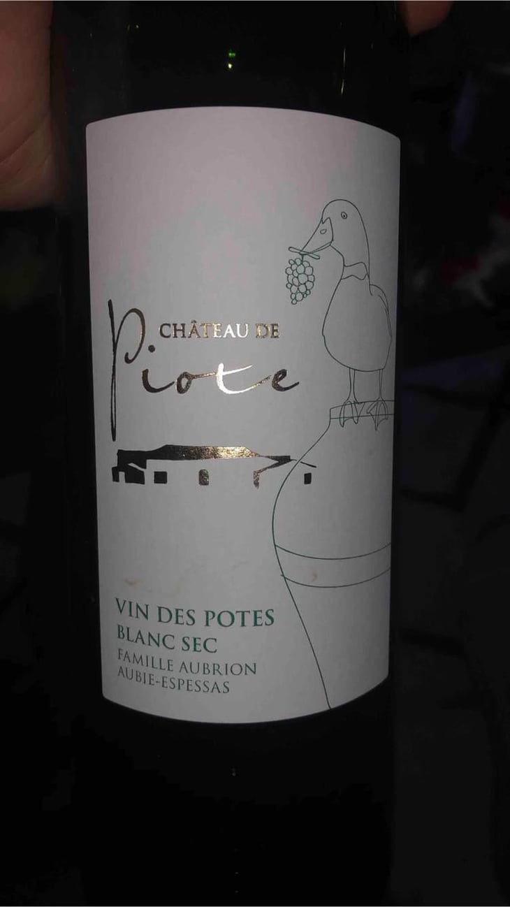 Vin Des Potes Blanc Sec - Château De Piote - Virginie Aubrion 