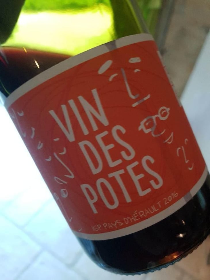 Vin des Potes - Vin des Potes - Basile Passe -2015