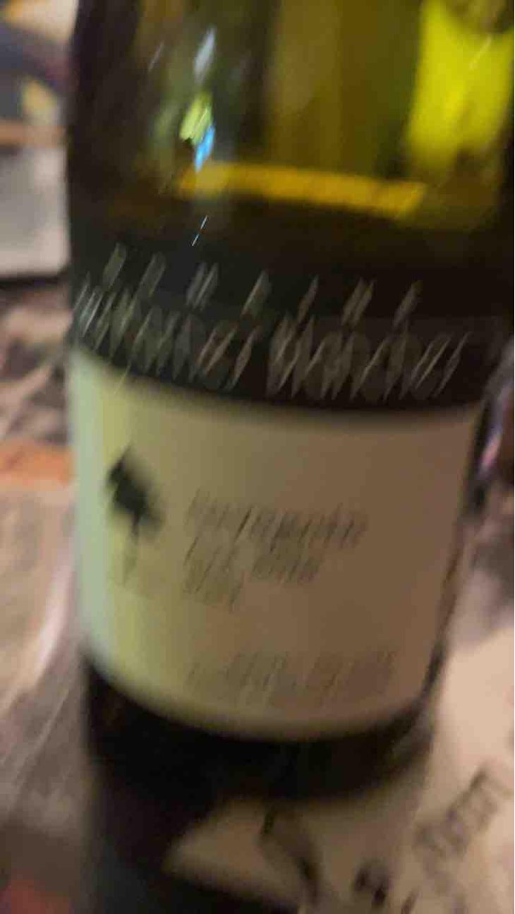 Vin Jaune - Domaine Des Marnes Blanches - Pauline & Géraud Fromont -2015