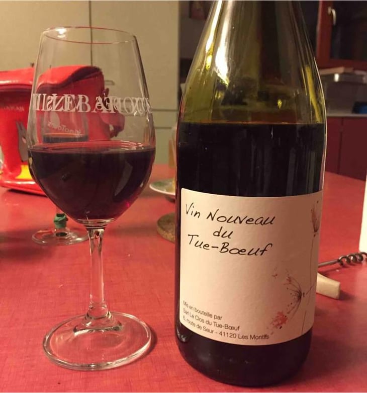 Vin Nouveau du Tue-Boeuf - Clos du Tue-Bœuf - Zoé, Louise & Thierry Puzelat 