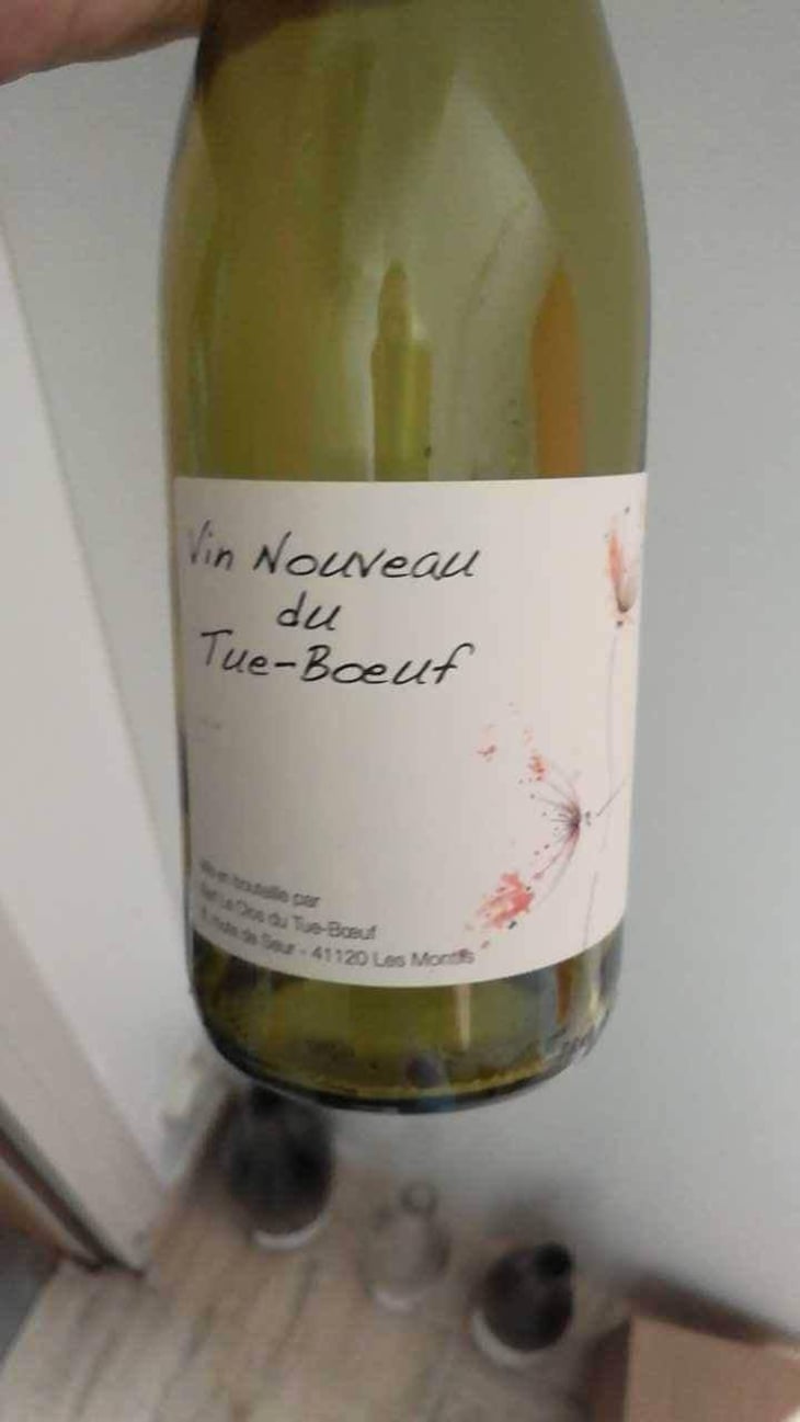 Vin Nouveau du Tue-Boeuf - Clos du Tue-Bœuf - Zoé, Louise & Thierry Puzelat 